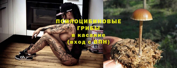 2c-b Алексин
