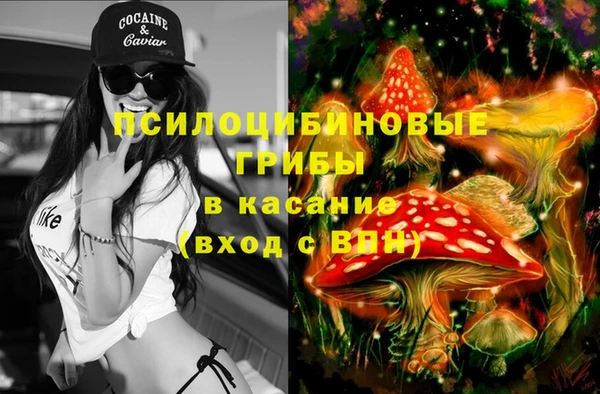 2c-b Алексин