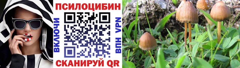 Купить  Вихоревка  Галлюциногенные грибы мухоморы 
